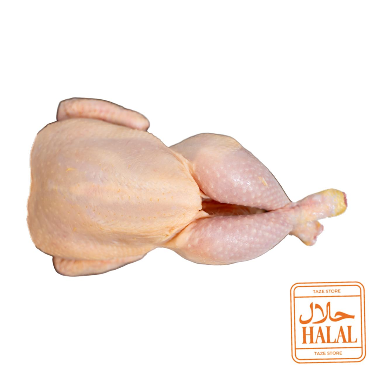 Chicken